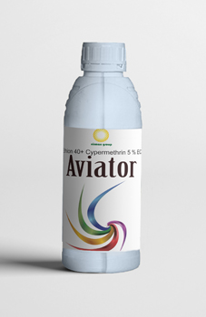 Aviator