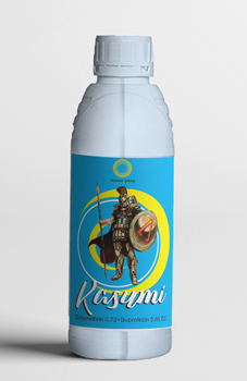 Kasumi