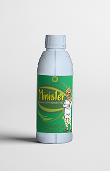 Minister
