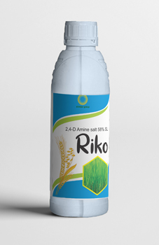 Riko