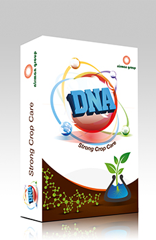 DNA 