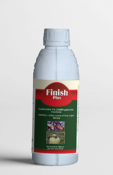 Finish
