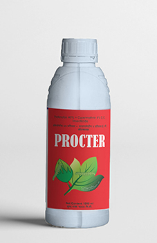 Proctor