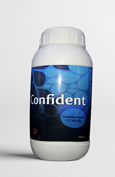 Confident