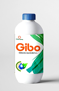 Gibo