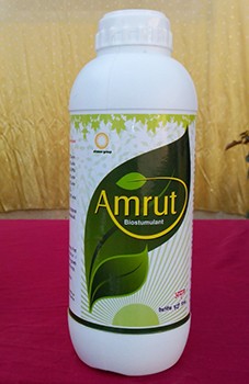 Amrut Bentonite (Gr)