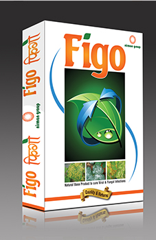 Figo/Vigo
