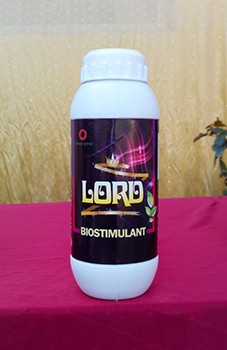 Lord