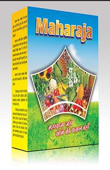 Maharaja