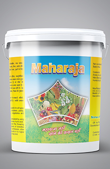 Maharaja Bentonite(Gr)