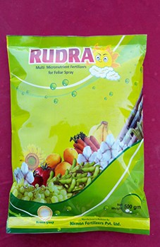 Rudra