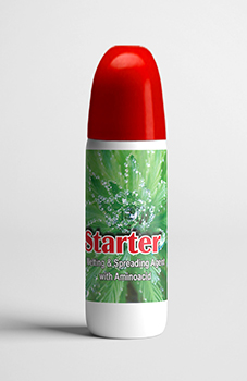 Starter